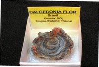 Calcedonia Flor